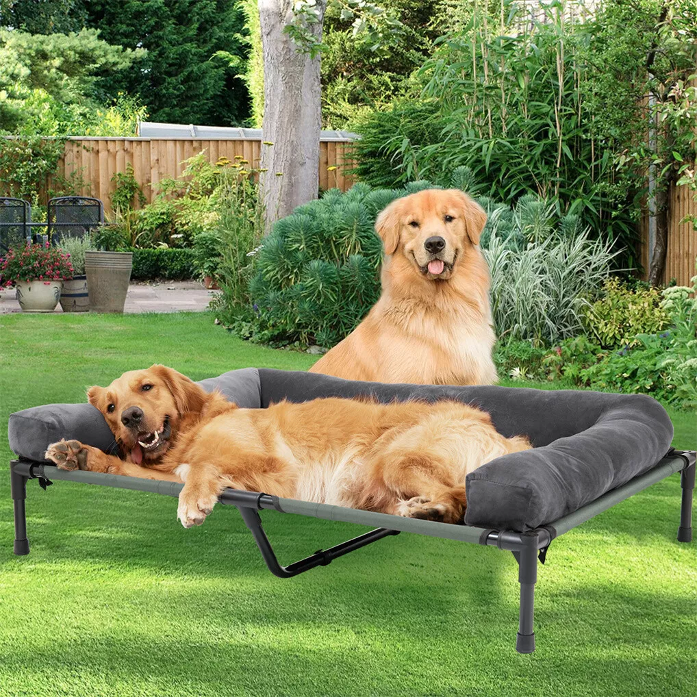 BINGOPAW Letto Rialzato per Ca - Outdoor Camping Dog Bed recensione e prezzo